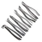 Extracting Forceps Set Of (10 Pcs)