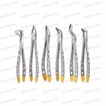 Dental Extraction Forceps - Set of 6